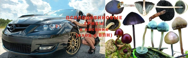 apvp Балахна